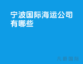 宁波国际海运公司有哪些