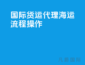 国际货运代理海运流程操作