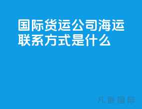 国际货运公司海运联系方式是什么