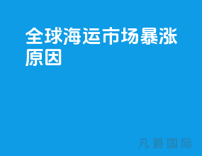 全球海运市场暴涨原因
