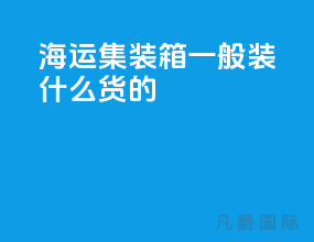 海运集装箱一般装什么货的