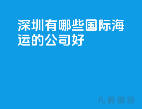 深圳有哪些国际海运的公司好