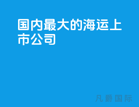国内最大的海运上市公司