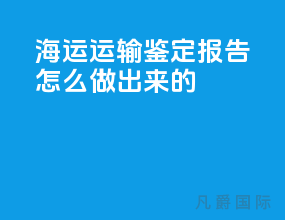 海运运输鉴定报告怎么做出来的
