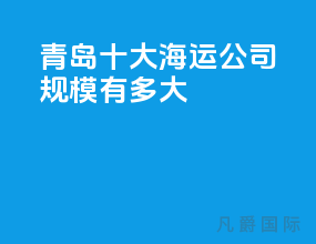 青岛十大海运公司规模有多大