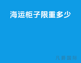 海运柜子限重多少