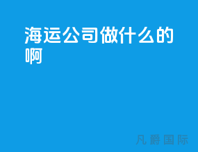 海运公司做什么的啊