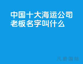 中国十大海运公司老板名字叫什么