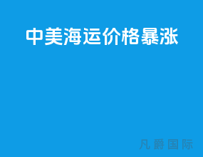 中美海运价格暴涨5