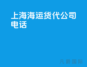 上海海运货代公司电话