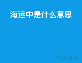 海运中20gp是什么意思