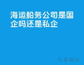 海运船务公司是国企吗还是私企