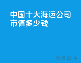 中国十大海运公司市值多少钱