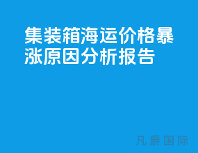 集装箱海运价格暴涨原因分析报告