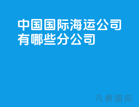 中国国际海运公司有哪些分公司