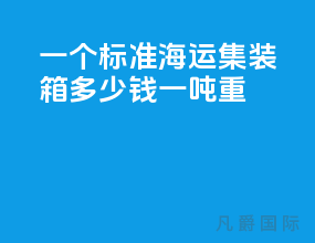 一个标准海运集装箱多少钱一吨重