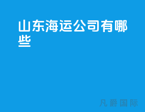 山东海运公司有哪些
