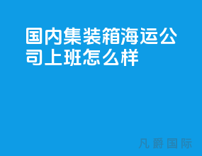 国内集装箱海运公司上班怎么样