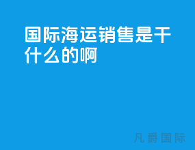 国际海运销售是干什么的啊