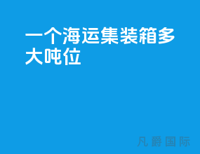 一个海运集装箱多大吨位