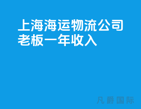 上海海运物流公司老板一年收入