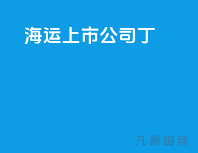 海运上市公司丁