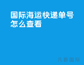 国际海运快递单号怎么查看
