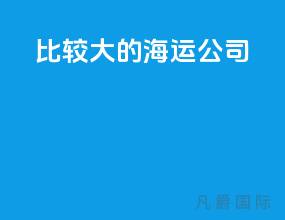 比较大的海运公司