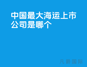 中国最大海运上市公司是哪个