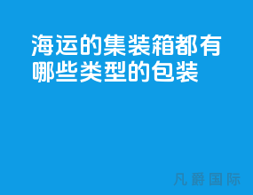 海运的集装箱都有哪些类型的包装