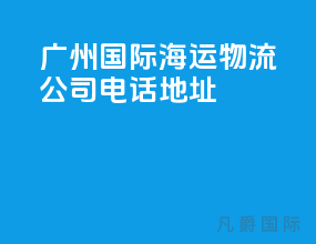 广州国际海运物流公司电话地址