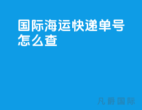 国际海运快递单号怎么查