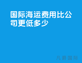 国际海运费用比公司更低多少