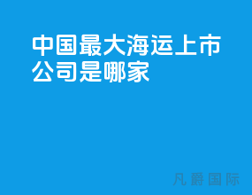 中国最大海运上市公司是哪家
