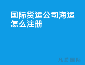 国际货运公司海运怎么注册