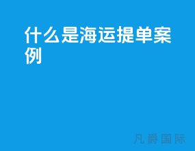 什么是海运提单案例