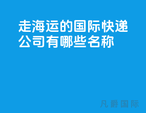 走海运的国际快递公司有哪些名称