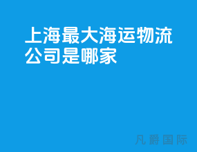 上海最大海运物流公司是哪家