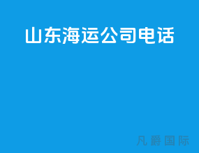 山东海运公司电话