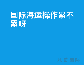 国际海运操作累不累呀