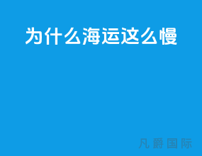 为什么海运这么慢