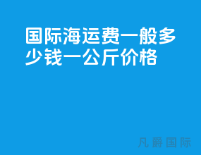 国际海运费一般多少钱一公斤价格