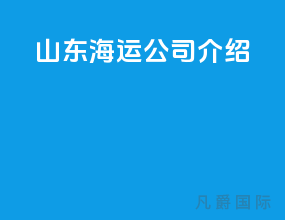 山东海运公司介绍