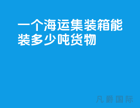 一个海运集装箱能装多少吨货物