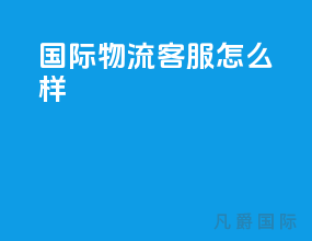 国际物流客服怎么样