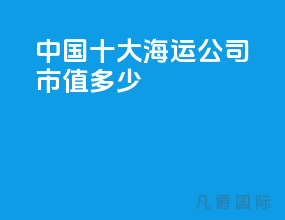 中国十大海运公司市值多少