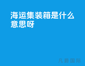 海运集装箱是什么意思呀