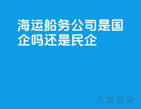 海运船务公司是国企吗还是民企
