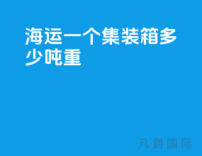 海运一个集装箱多少吨重