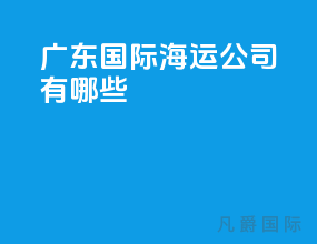 广东国际海运公司有哪些